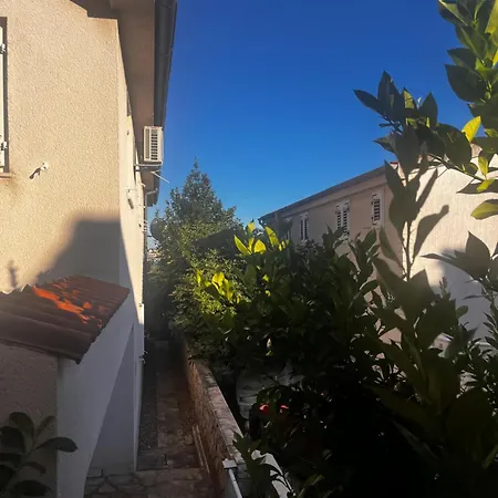 Zvijezda Daire *