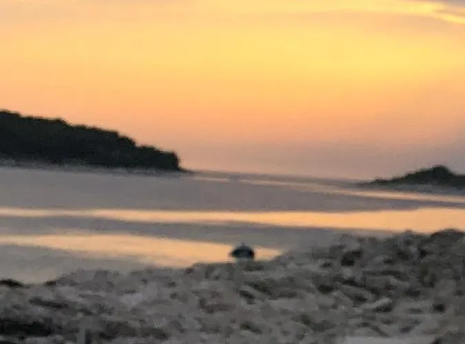 Zvijezda Apartamento *