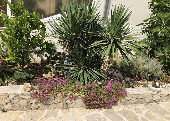 Zvijezda * Rogoznica (Sibenik-Knin)